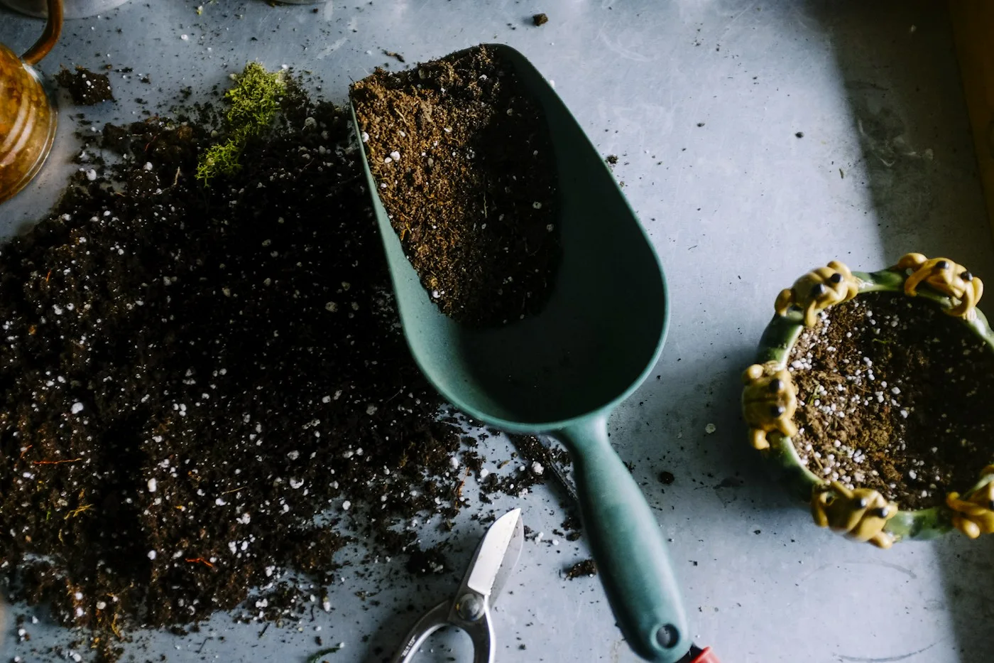Soil, texture and growing ideas.