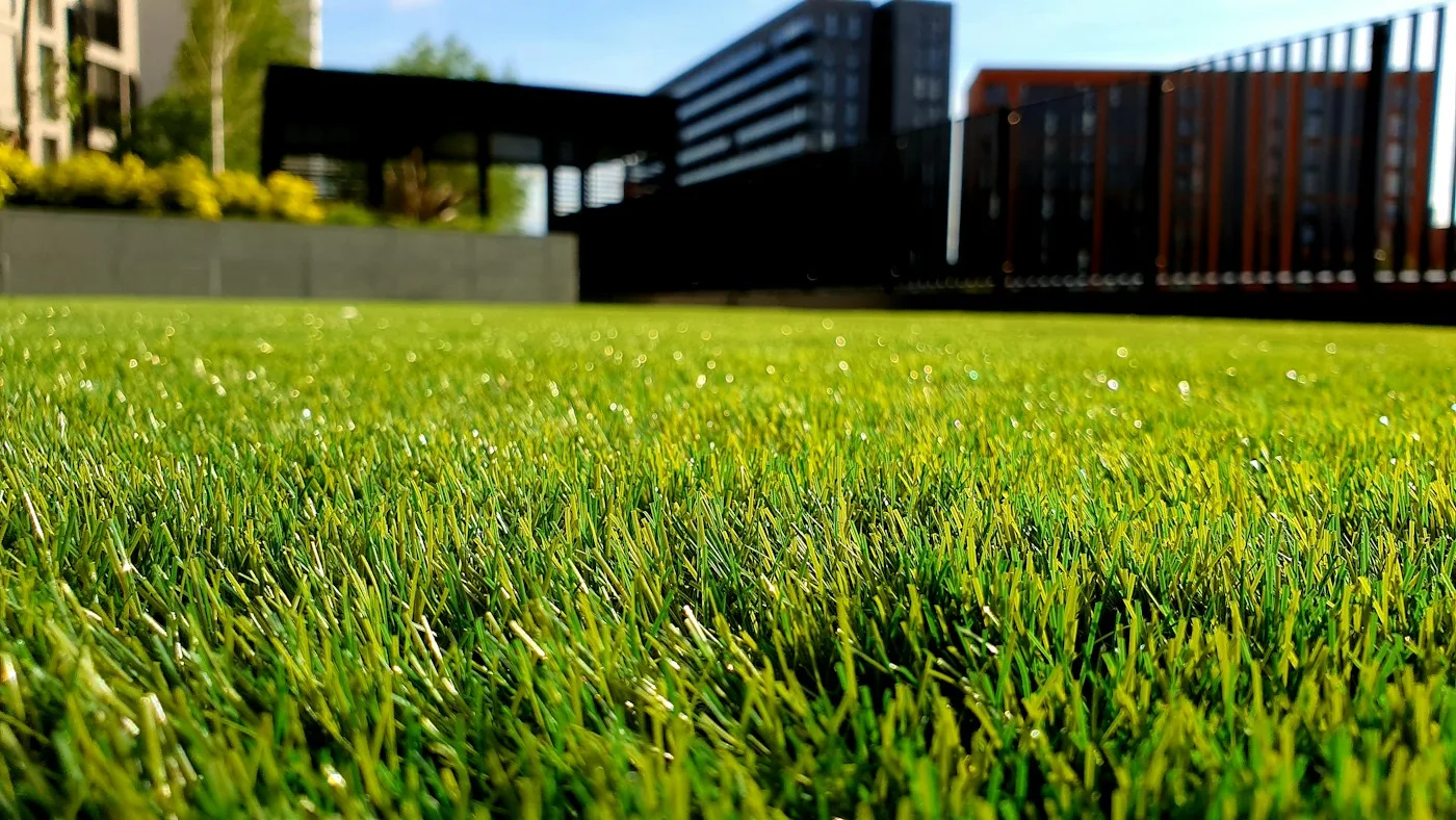 A green foundation for outdoor living.